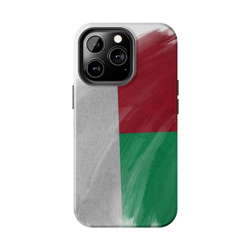 Coque robuste – Drapeau malgache en coups de pinceau