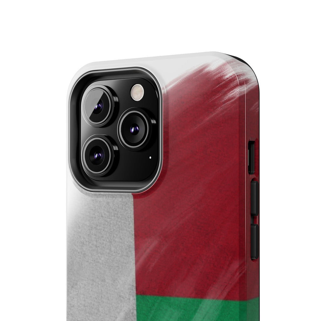 Coque robuste – Drapeau malgache en coups de pinceau